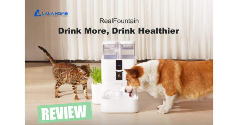 LALAHOME RealFountain DailyFresh Pet Fountain