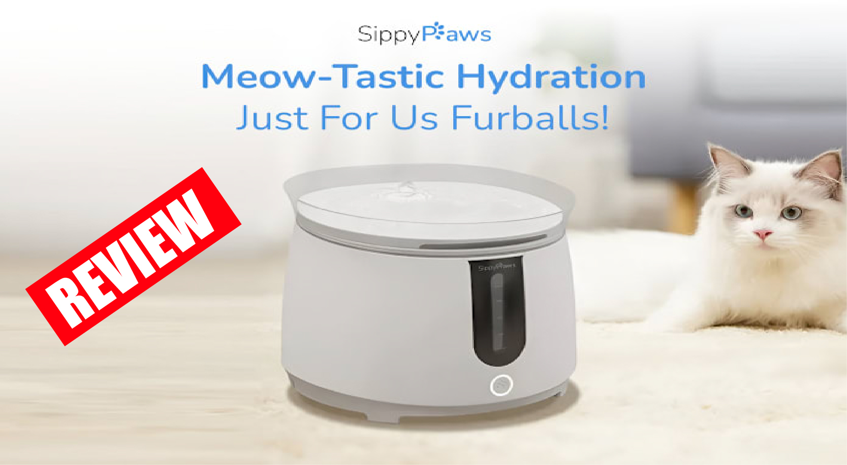 SippyPaws Review : Intelligent Hydration, Healthier Pets